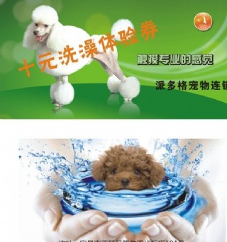 宠物洗澡券图片
