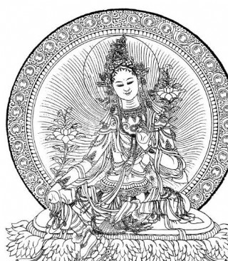 绿度母 线描图 度图片