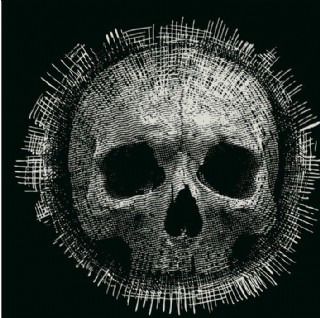 skull骷髅头骨图片