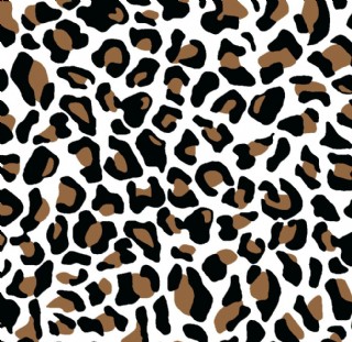 豹纹印花图案图片