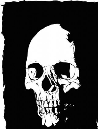 skull骷髅头骨图片