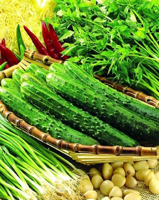 低碳厨电折页图片