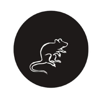 印花矢量图 动物 老鼠 几何 圆形 免费素材