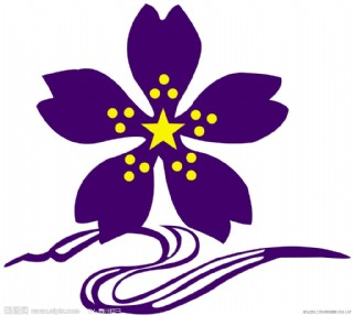 紫荆花矢量图素材