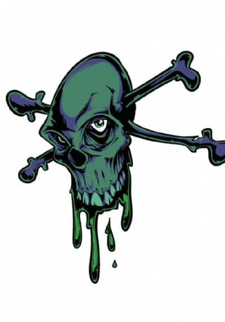 skull骷髅头骨图片