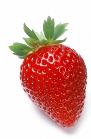 草莓解剖图绘图图片