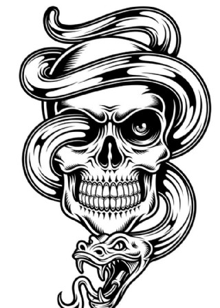 skull骷髅头骨图片